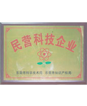 民營(yíng)科技企業(yè)